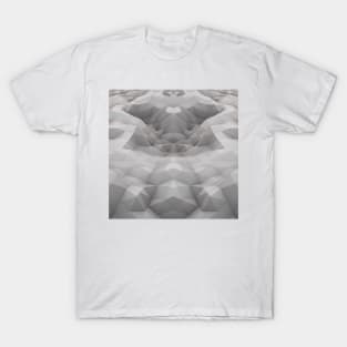 Déjà vu Mountians T-Shirt